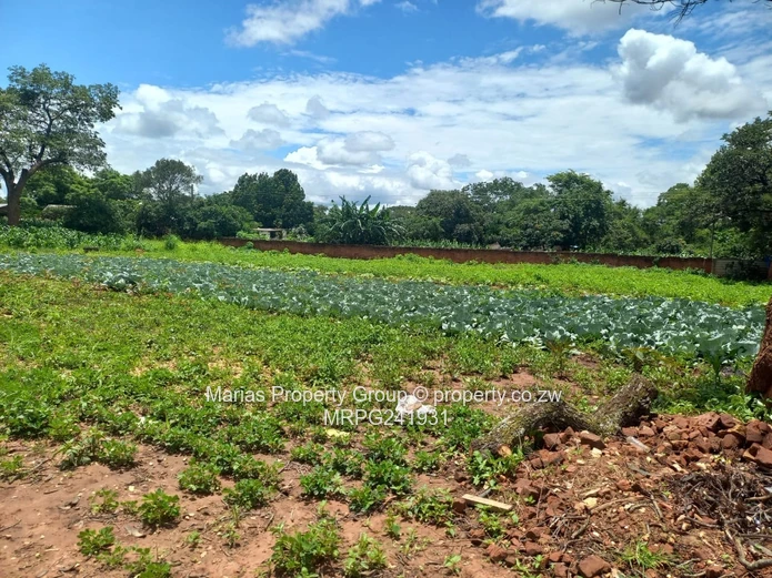 Walled, Serviced 4,323m² Stand with Gravel Road, Chinhoyi