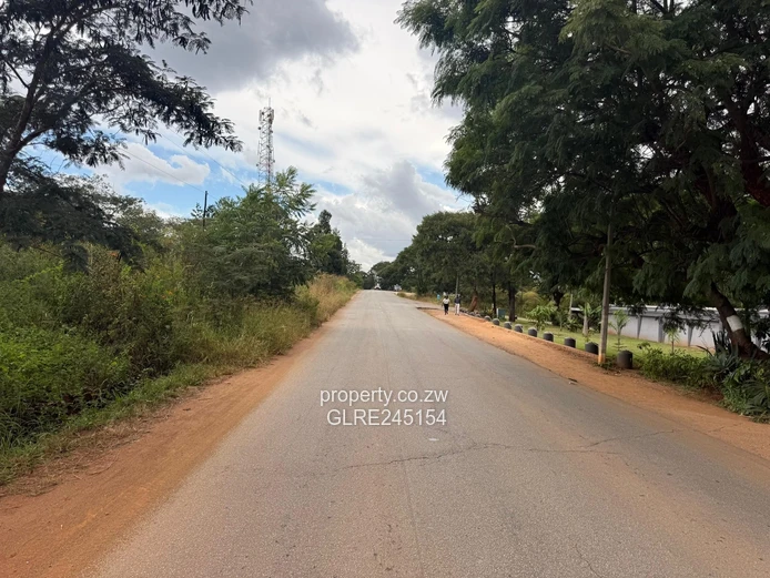 1500 sqm Quinnington Stand — Tarred Road, Sewered & Subdivision-Ready