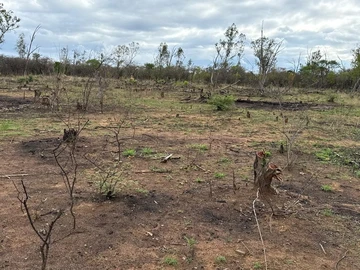 Farm & Agricultural Land