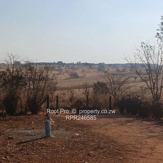 Nyabira 50-Hectare Plot For Sale 