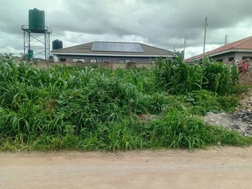 Stands & Residential Land