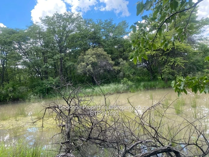 Prime Cattle Ranch: 809ha, 46km Bulawayo