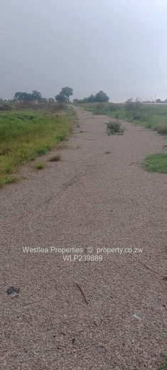 An opportunity not to miss