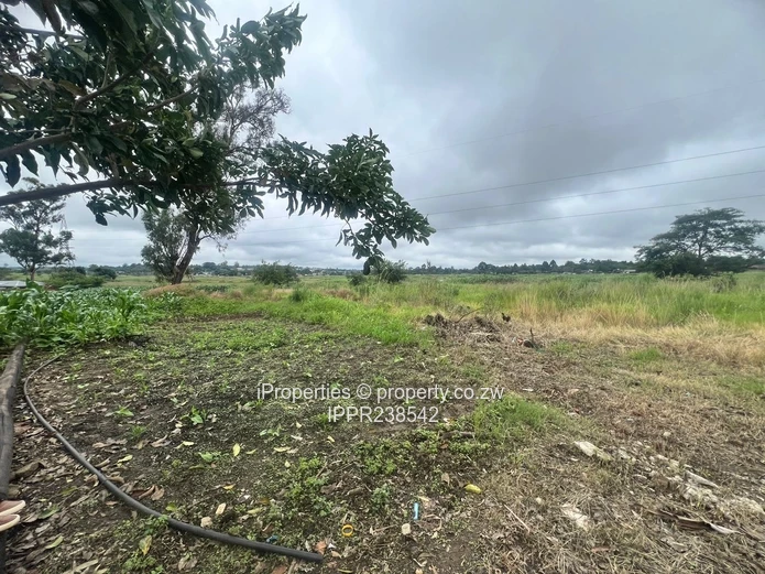 3,300sqm Stand with Title Deeds and Serviced 3-Bedroom Cottage