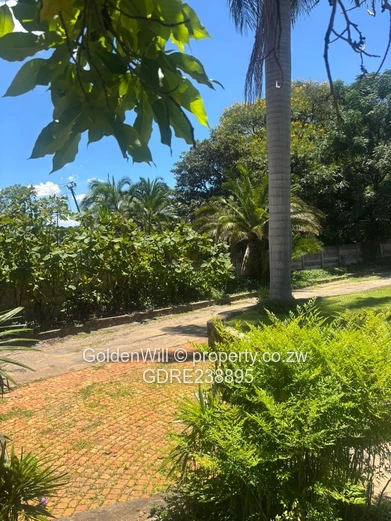 Greystone park House to rent 