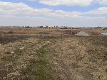 Stands & Residential Land