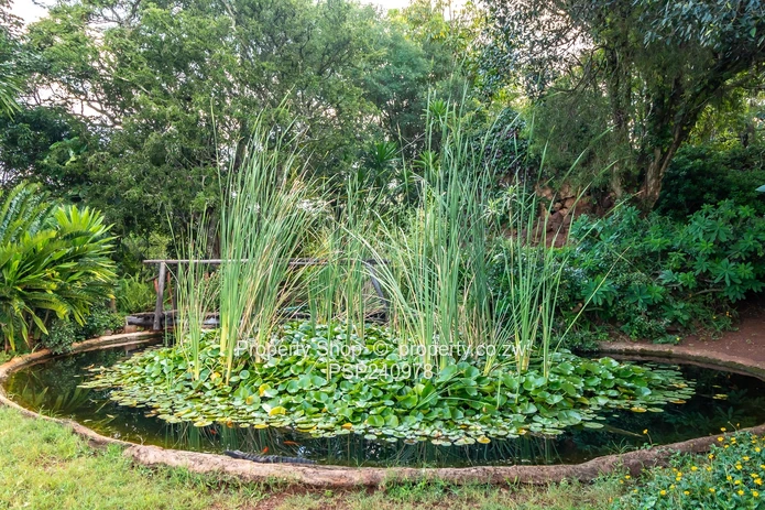 Bespoke Plot In The Heart Of Matabeleland (Sole Mandate)