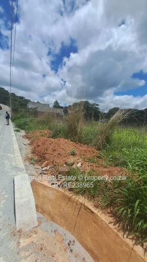 2000m² tree-lined stand with new paved road — Carrick Creagh