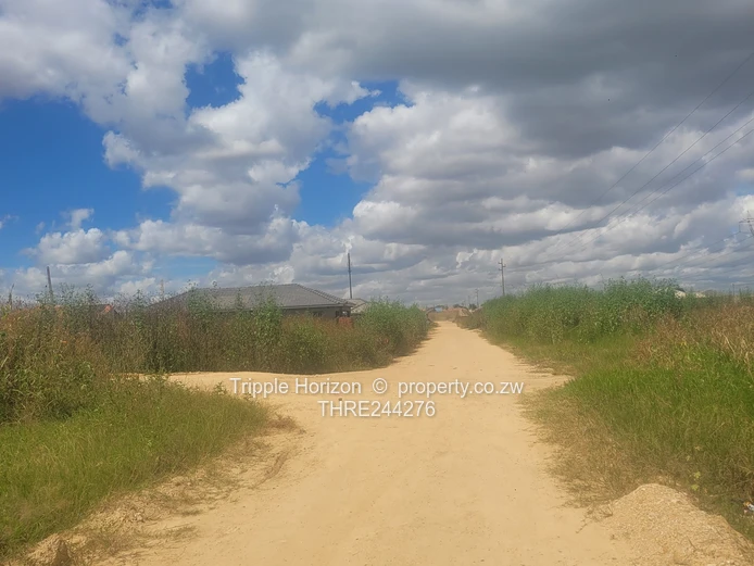 6-Bed Unfinished Shell on 300m² in Granary Park