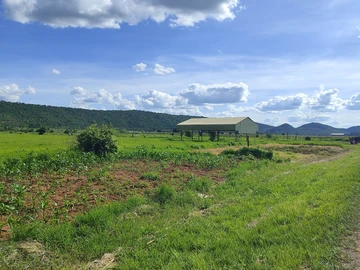 Farm & Agricultural Land