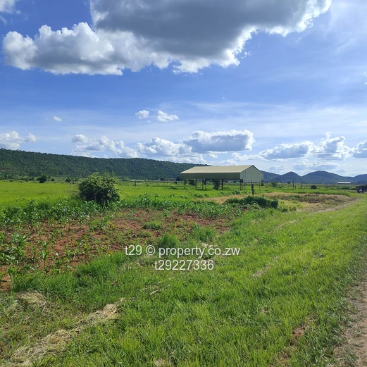 Kintyre estate plots for sale (Sole Mandate)