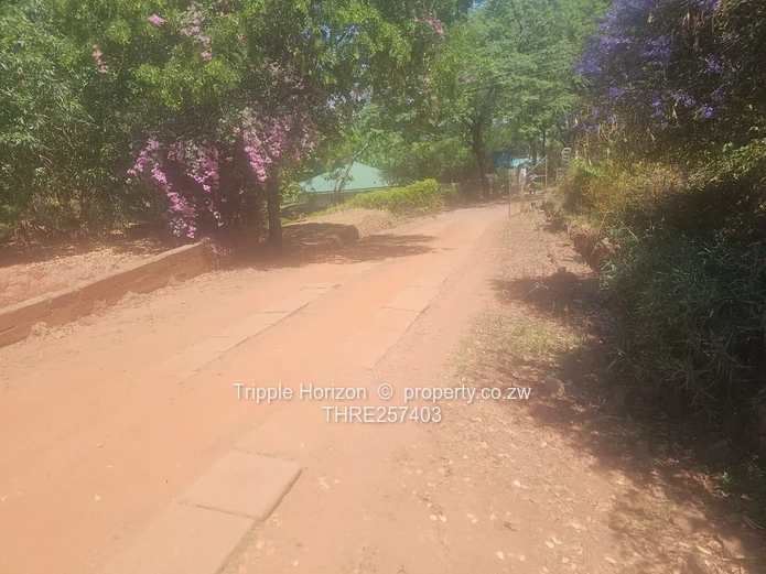 Meyrick Park: 3-Bed Home on 6,988 m² with Verandah