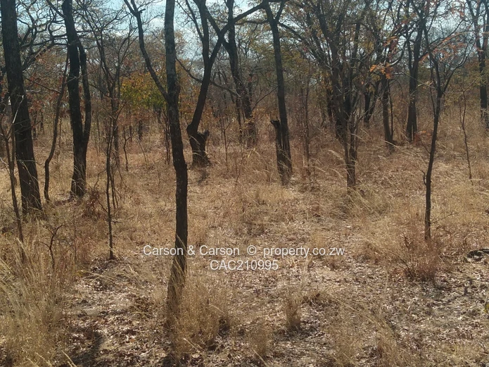 15Ha Farm & Agricultural Land in Mhondoro Ngezi with ZESA (Sole Mandate)