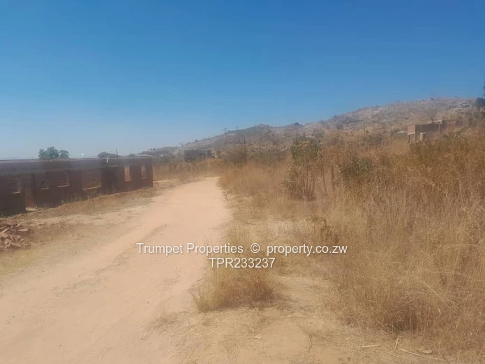 Stands For Sale In Crowhill (Sole Mandate)