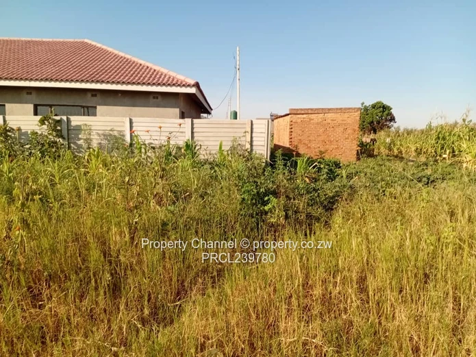 Corner Stand – Developer Cession