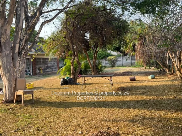 Spacious 4-Bed Vainona Home with Large Garden & Solar