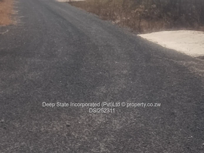 Nyeredzi stand for sale 