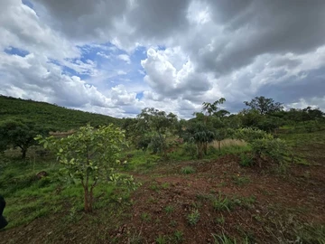 Commercial & Industrial Land