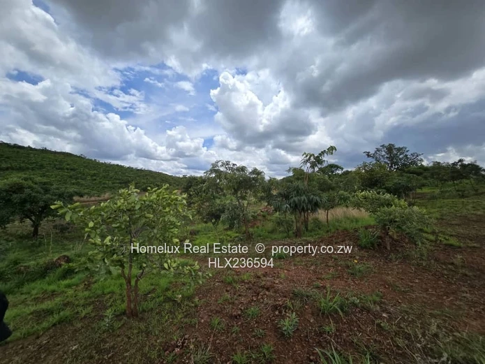 Strategic Heavy Industrial Stand 