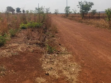 Stands & Residential Land