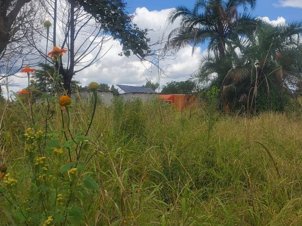 Farm & Agricultural Land