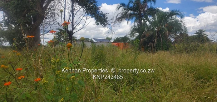 5 Acres Central Gweru With Deeds!