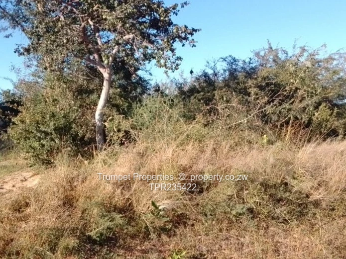 6ha Arable & Grazing Farm to Rent in Selous