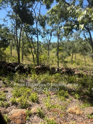 41 Hectares of Prime Land in Borrowdale Brooke Area with Endless Development Potential
