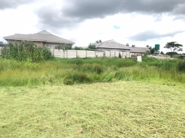 Stands & Residential Land