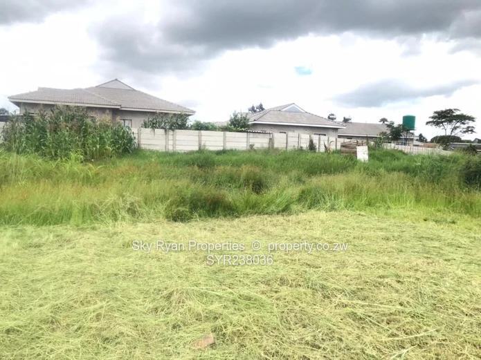 Avondale Strathaven Stand For Sale