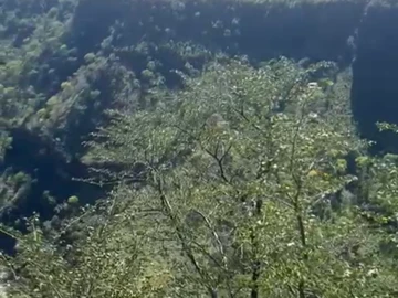 Commercial & Industrial Land