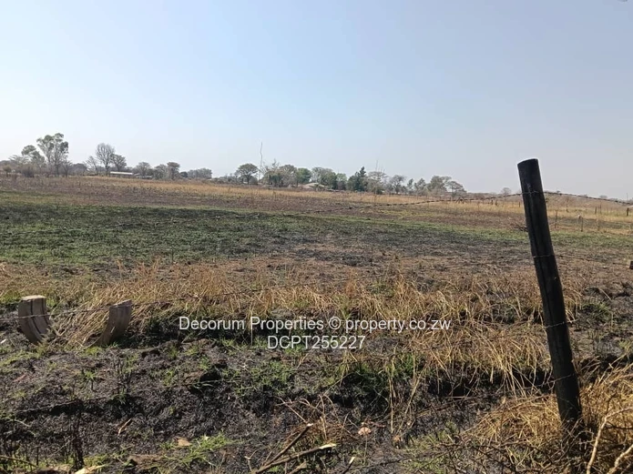 2-Acre Fenced Stand in Kwekwe - Municipal Water (Sole Mandate)