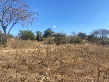 Farm & Agricultural Land