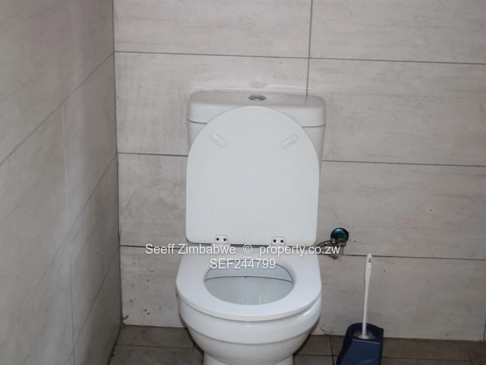 Secure And Beautiful Family Home