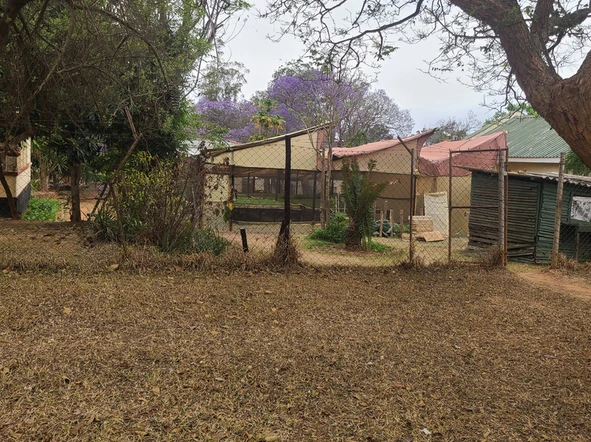 Cbd- Mutare