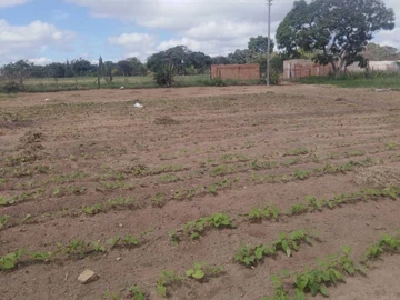 Farm & Agricultural Land