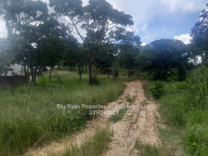 Carrick Creagh Stand  For Sale