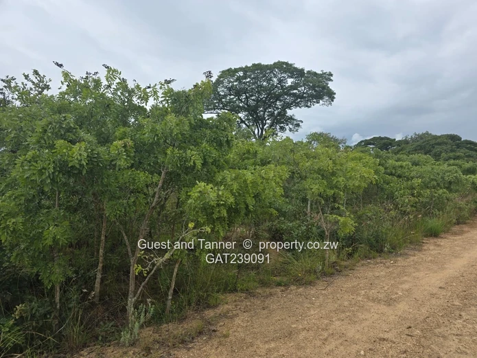 2159sqm Marondera low density residential stand for sale