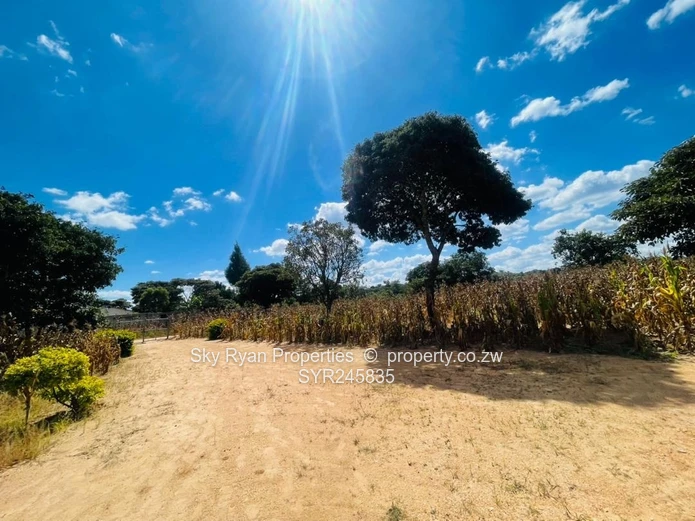 Crowhill Stand For Sale