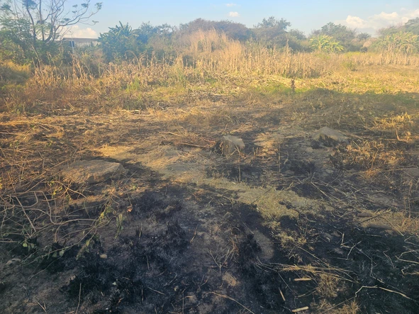 Commercial & Industrial Land