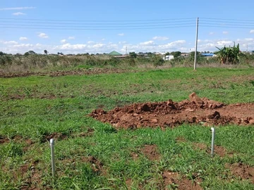 Stands & Residential Land