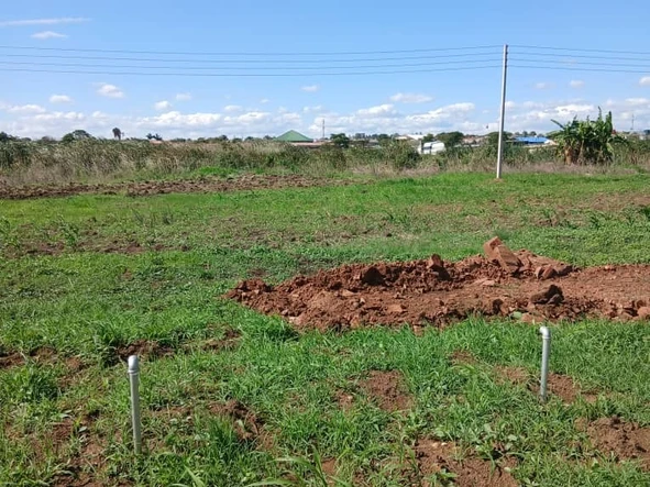 Stands & Residential Land