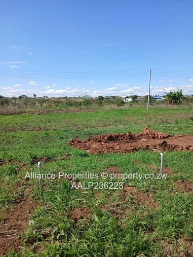 Affordable 420sqm Stand in Westlea with Flexible 4 Month Terms