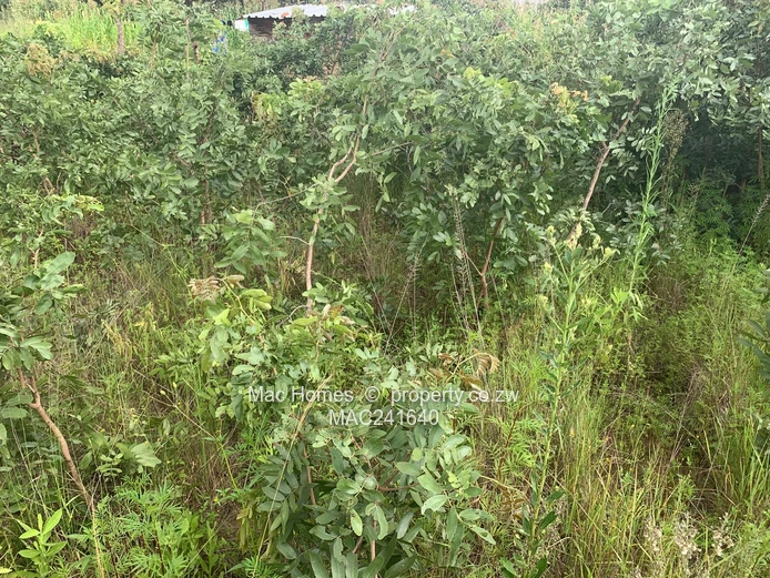 Crowhill In-Fill Stand for Sale (Sole Mandate)