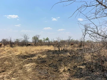 Farm & Agricultural Land