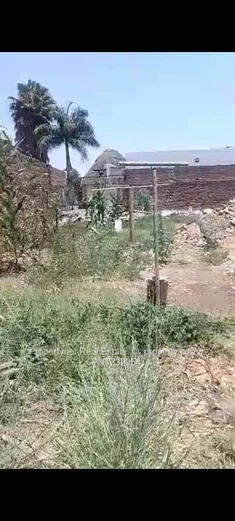 Industrial / commercial stand for Sale!!