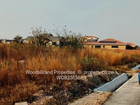 Arlington East stand for sale