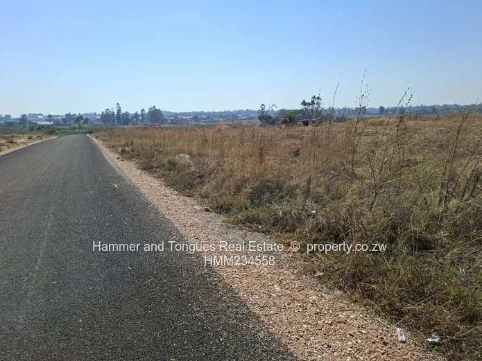 Athelney Estate Ruwa Stand For Sale