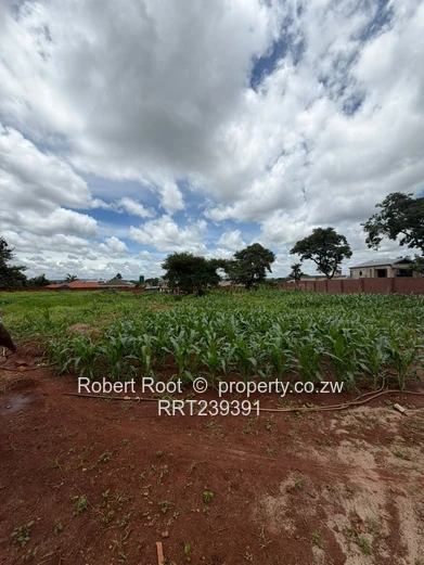 Build your dream home!