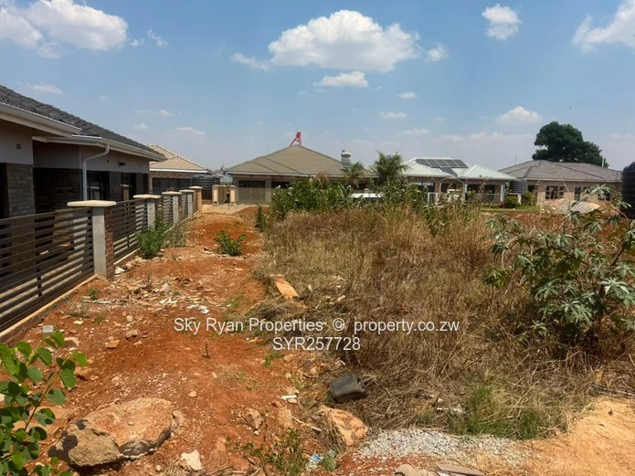 Cold Comfort Stand For Sale